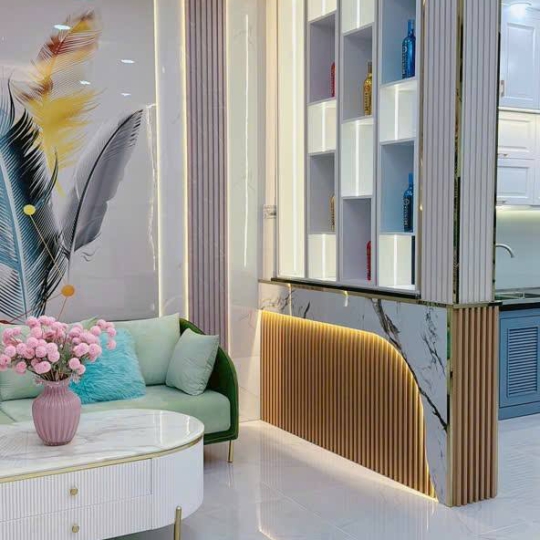 Nhà hẻm 167/27 Huỳnh Tấn Phát, Quận 7